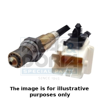 Oxygen Sensor